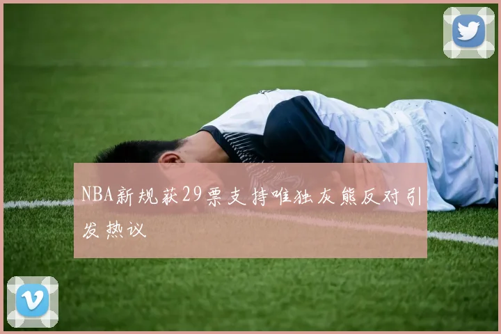 NBA新规获29票支持唯独灰熊反对引发热议